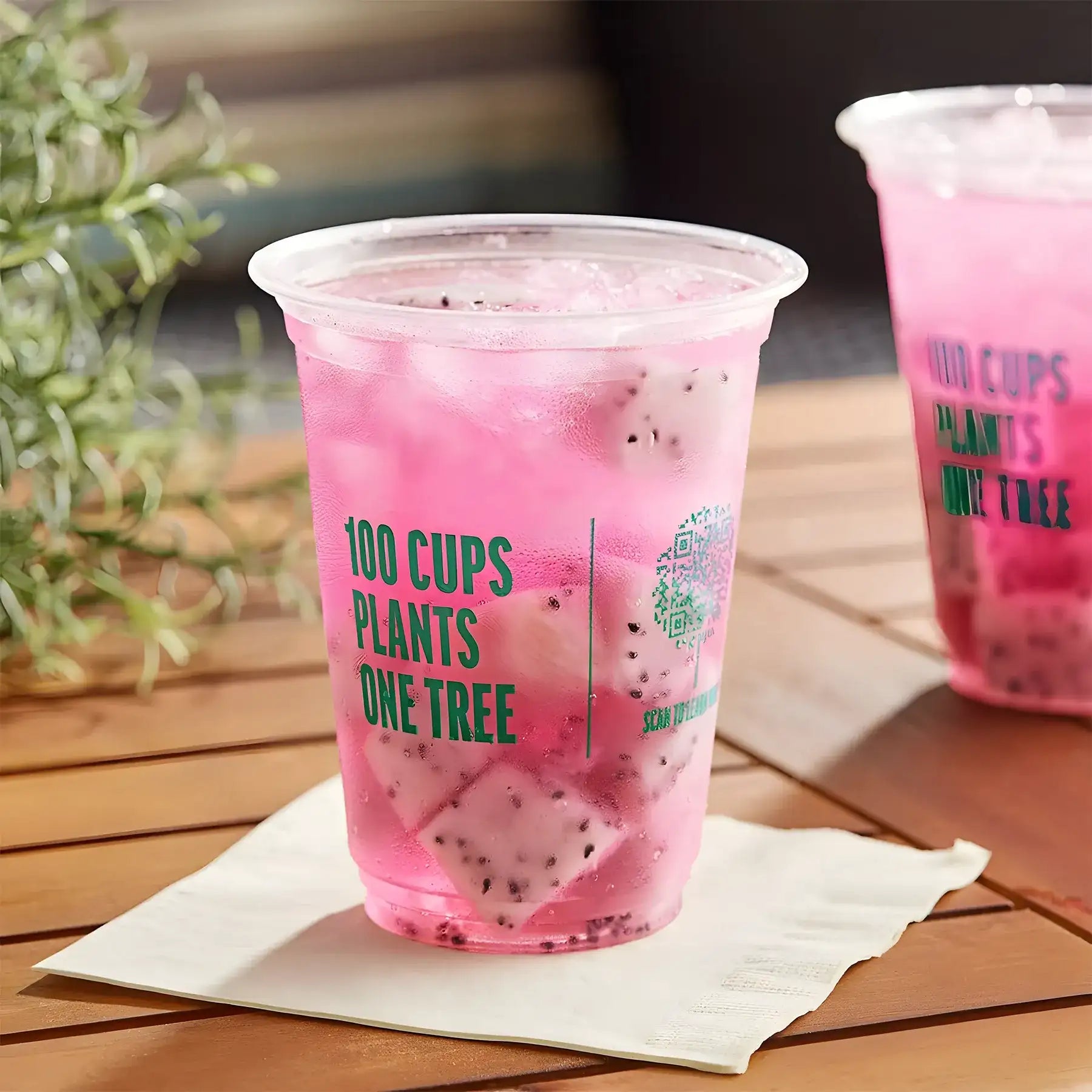 Large Biodegradable Cold Cups