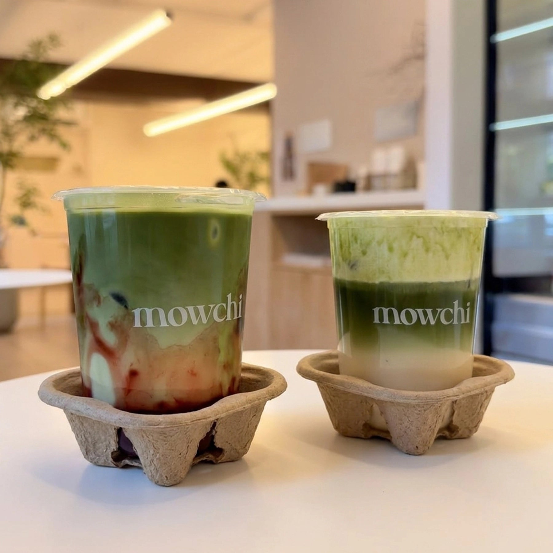 Small Batch Molded Pulp Single Cup Holder